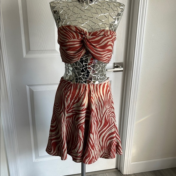 Acoa Dresses & Skirts - ACOA Red and White Zebra 2 piece Skirt and Bandeau Set M
